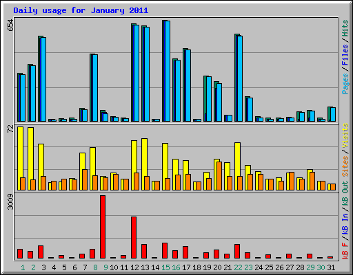 Daily usage for January 2011