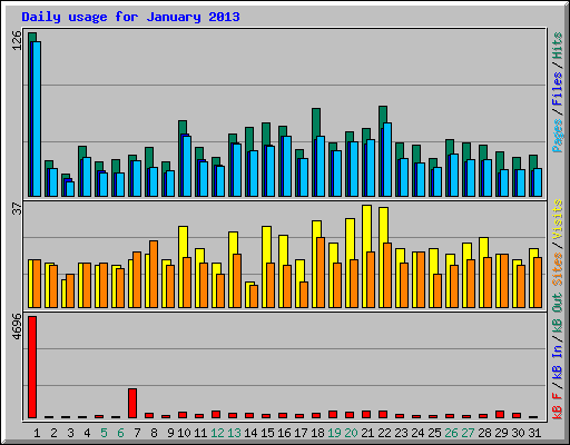 Daily usage for January 2013