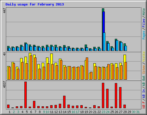Daily usage for February 2013