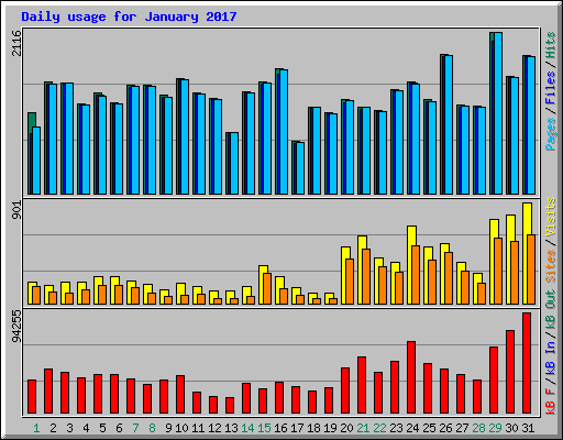 Daily usage for January 2017
