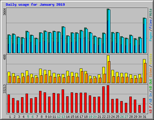 Daily usage for January 2019