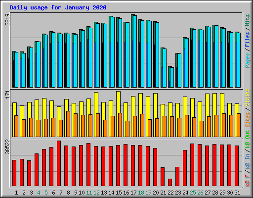 Daily usage for January 2020