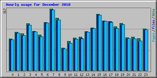 Hourly usage for December 2010