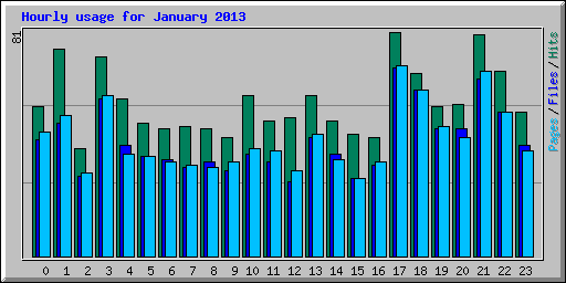 Hourly usage for January 2013