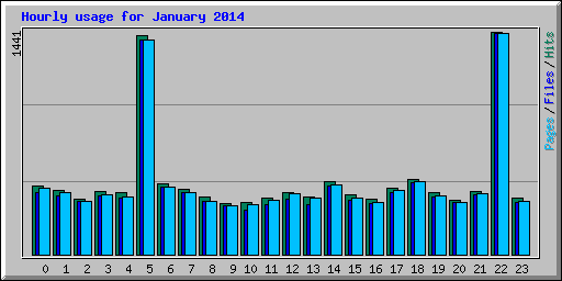 Hourly usage for January 2014