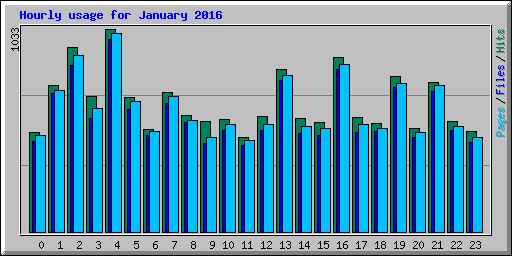 Hourly usage for January 2016