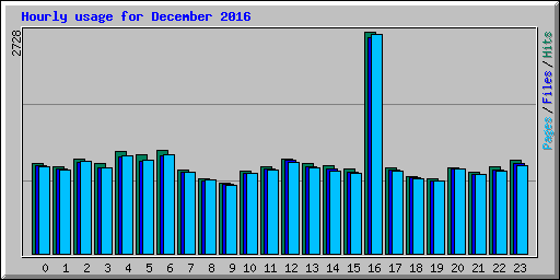Hourly usage for December 2016
