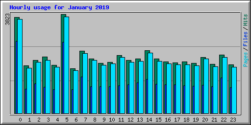 Hourly usage for January 2019