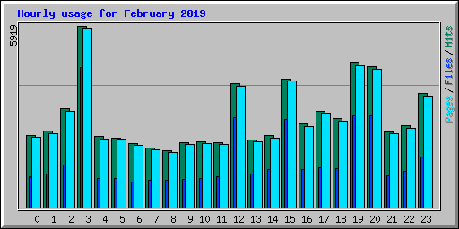 Hourly usage for February 2019