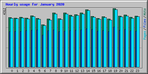 Hourly usage for January 2020