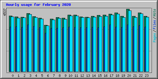Hourly usage for February 2020