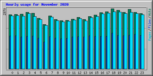 Hourly usage for November 2020