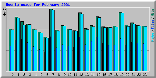 Hourly usage for February 2021