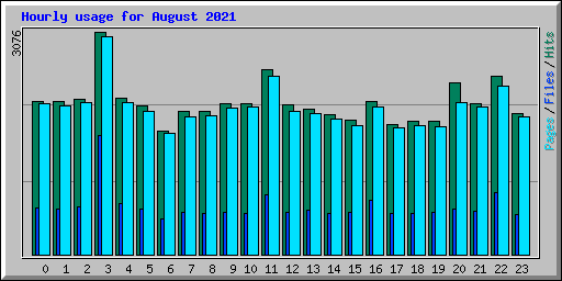 Hourly usage for August 2021